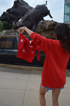 Load image into Gallery viewer, ARKANSAS SCATTERED PULLOVER YOUTH